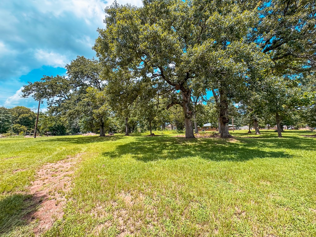 1711 West Point Tap Road Palestine, TX 75803 - Photo 3 of 17