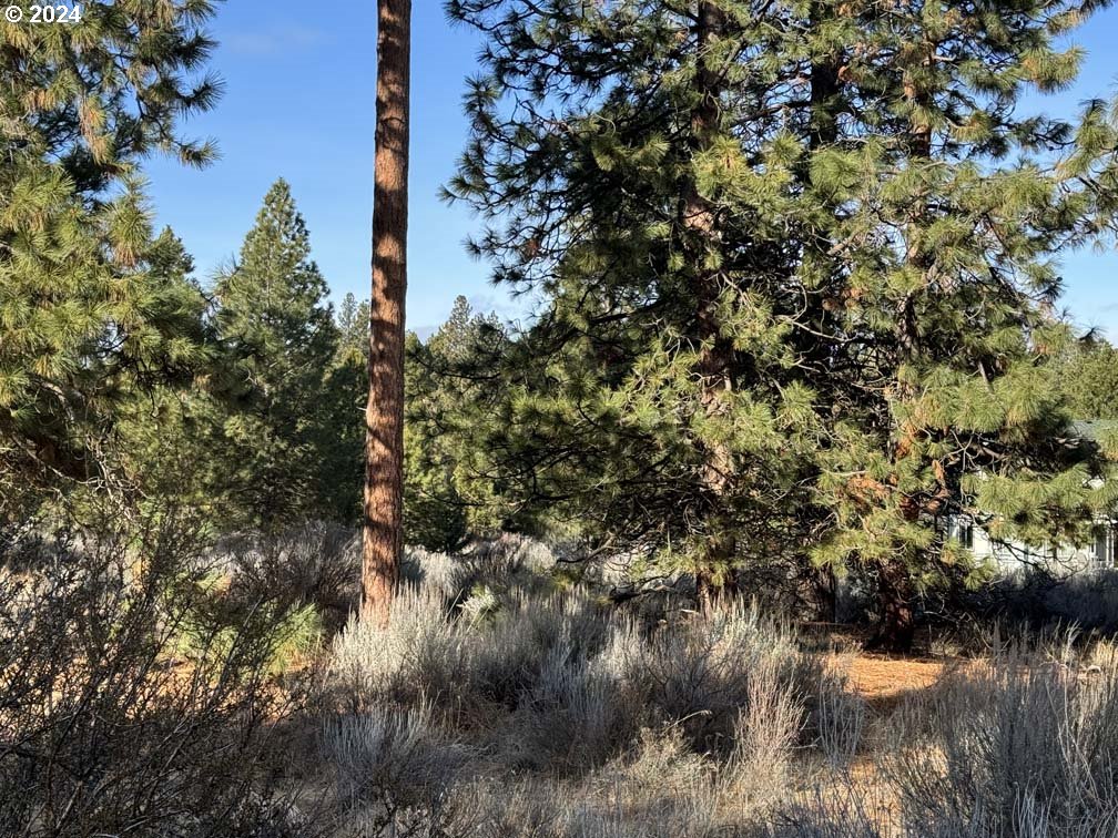 Shoshoni Way Chiloquin, OR 97624 - Photo 46 of 47