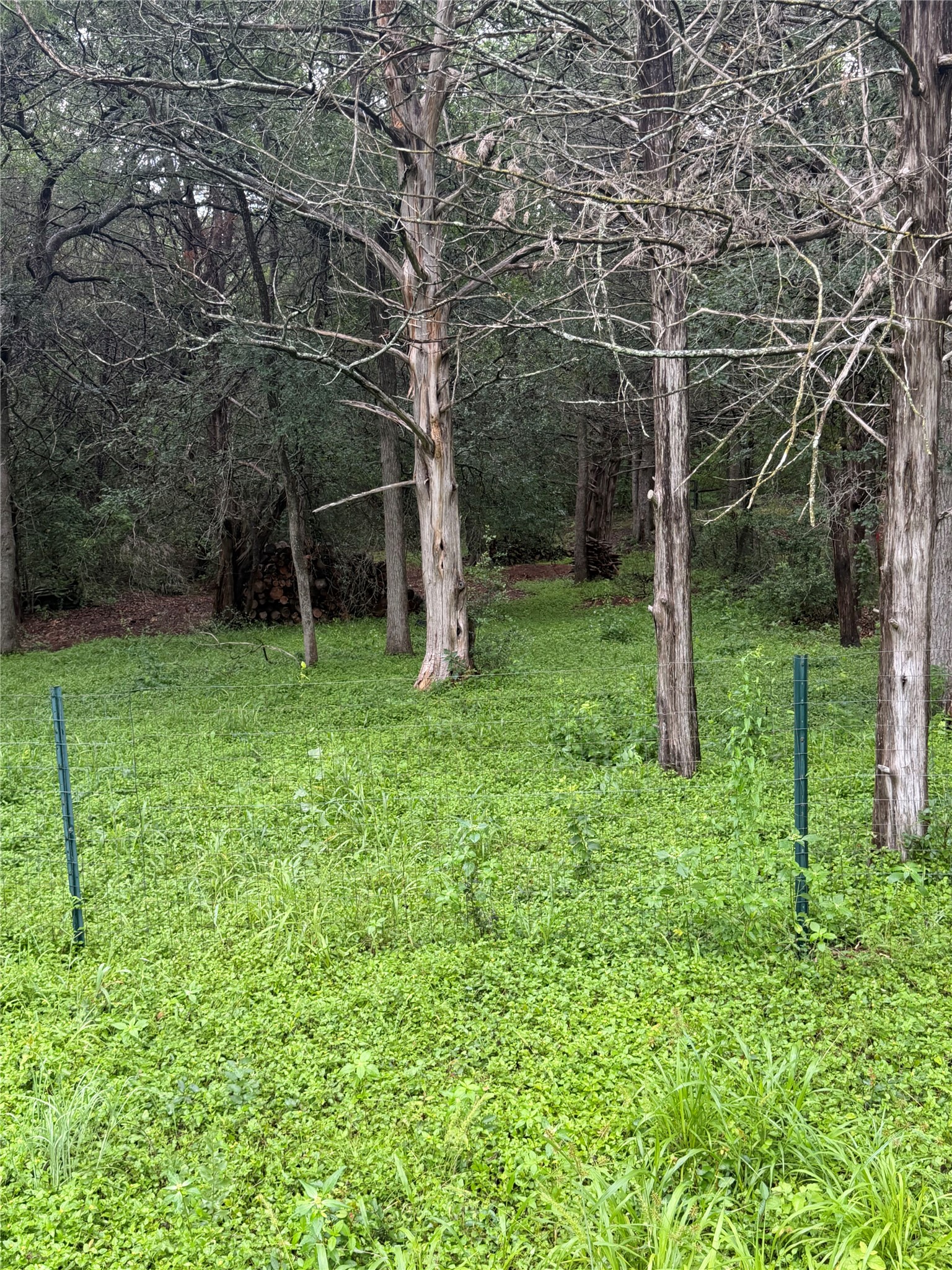 214 The Forest Road Dale, TX 78616 - Photo 18 of 18 A tranquil, verdant lot awaits your vision, bordered by a dense, natural treeline.