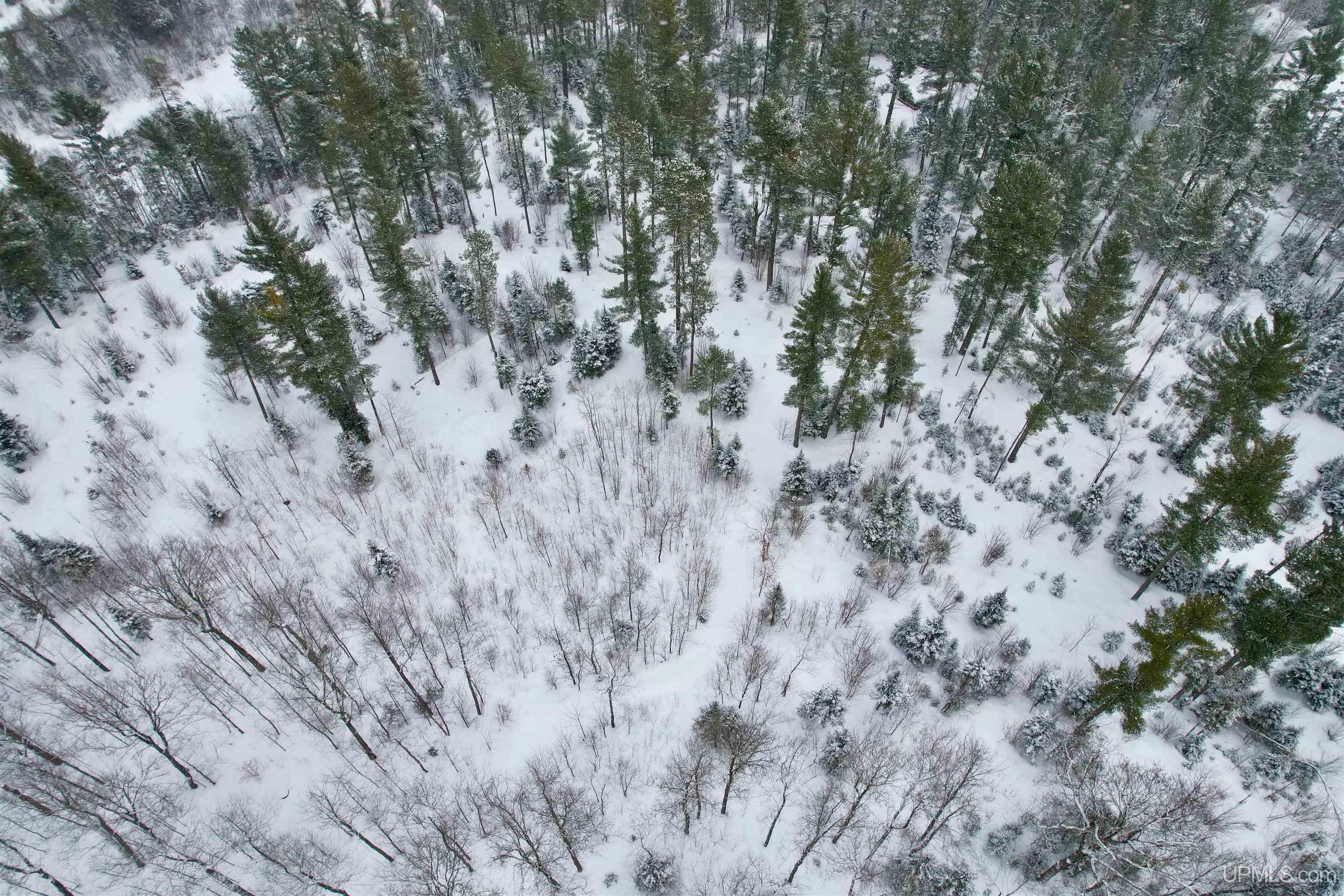3331 Co Road Champion, MI 49814 - Photo 26 of 27