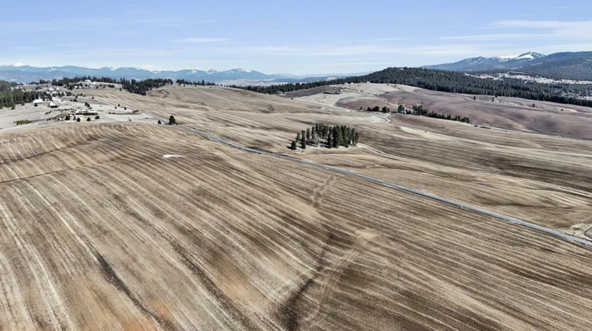 Jackson South Jackson S 8006th Road Mica, WA 99023 - Photo 8 of 13 Gallery Image 8