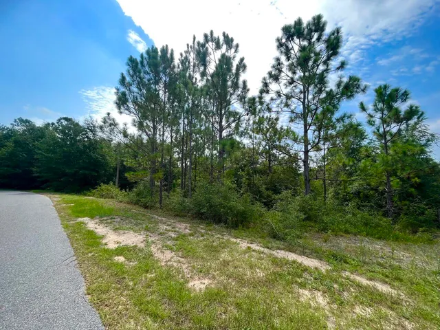 a view of a yard with a trees