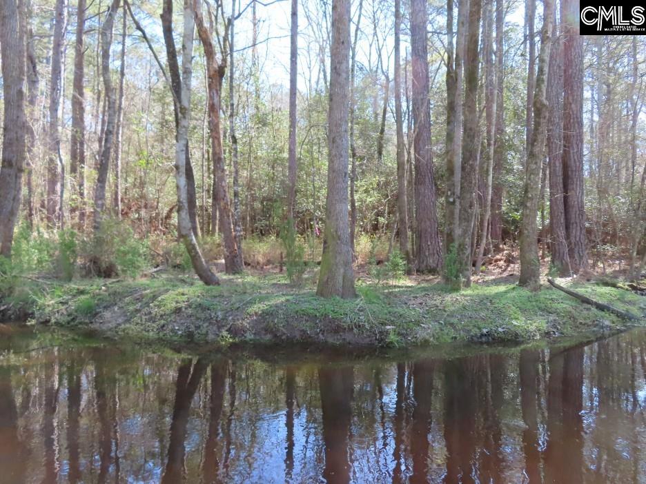 1672 Dixired Road Leesville, SC 29070 - Photo 12 of 67