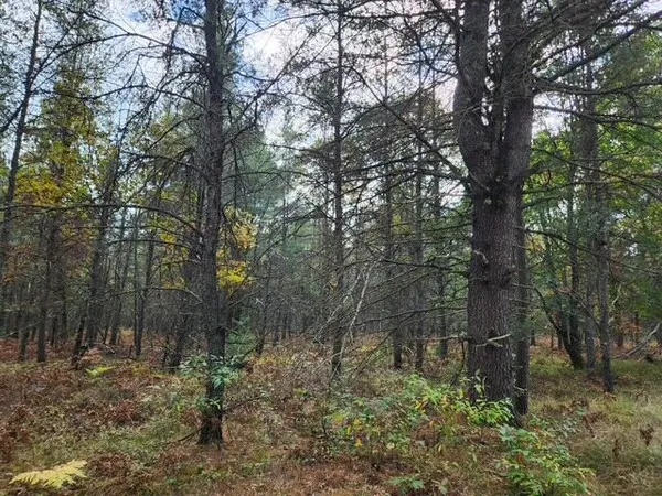 $52,900 | Parcel H Parcel H Tatanka Trail, Baldwin, MI 49304
