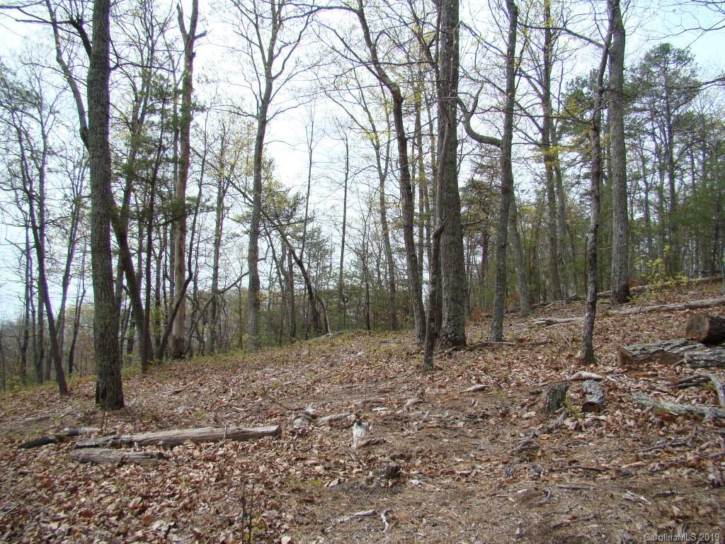 35 Inspiration Ridge Drive Bostic, NC 28018 - Photo 11 of 21
