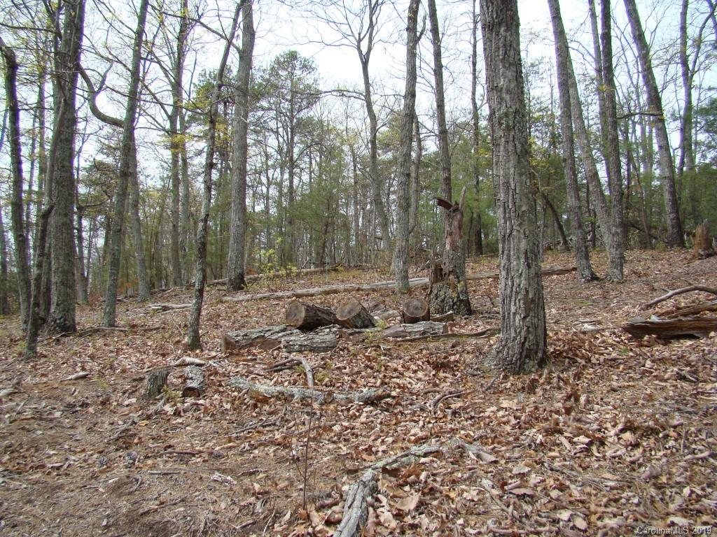 35 Inspiration Ridge Drive Bostic, NC 28018 - Photo 12 of 21