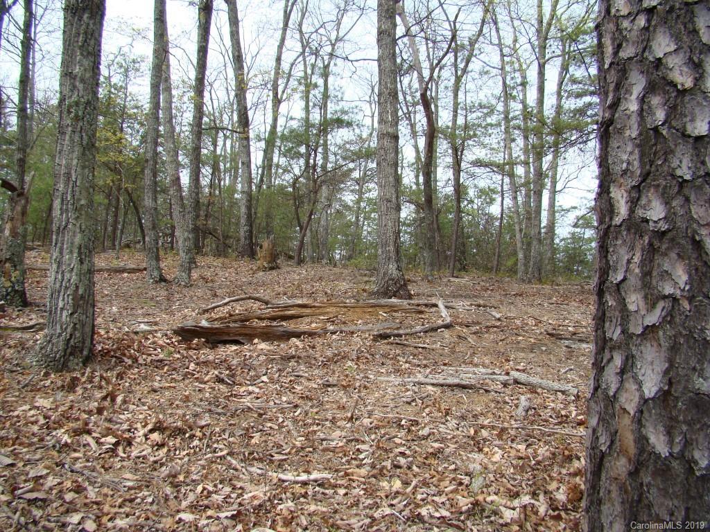 35 Inspiration Ridge Drive Bostic, NC 28018 - Photo 13 of 21