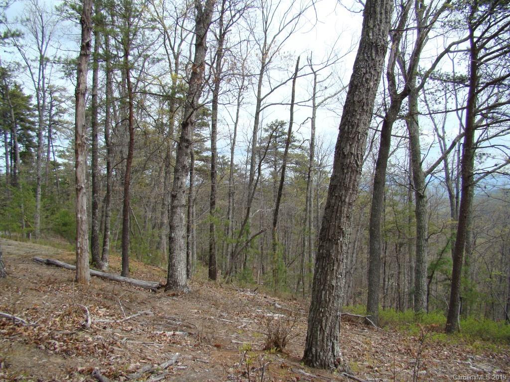 35 Inspiration Ridge Drive Bostic, NC 28018 - Photo 14 of 21
