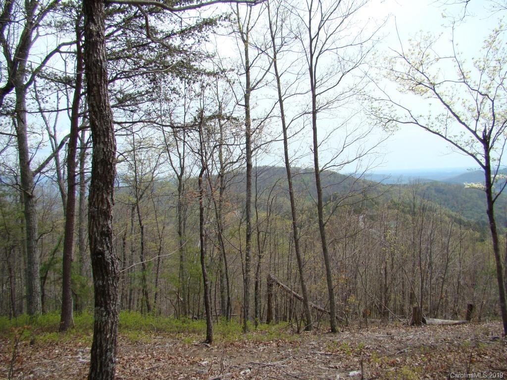 35 Inspiration Ridge Drive Bostic, NC 28018 - Photo 15 of 21