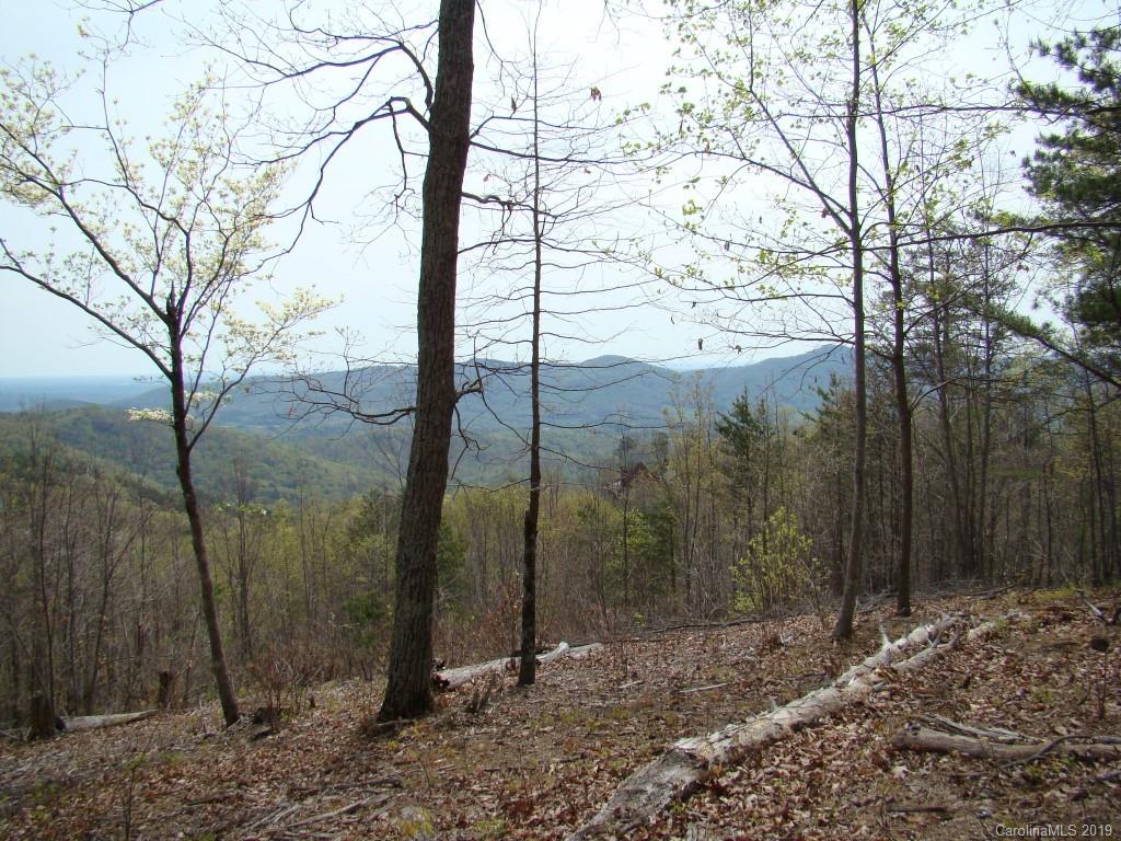 35 Inspiration Ridge Drive Bostic, NC 28018 - Photo 16 of 21