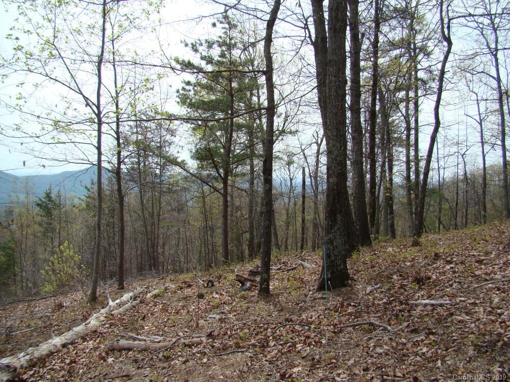 35 Inspiration Ridge Drive Bostic, NC 28018 - Photo 17 of 21