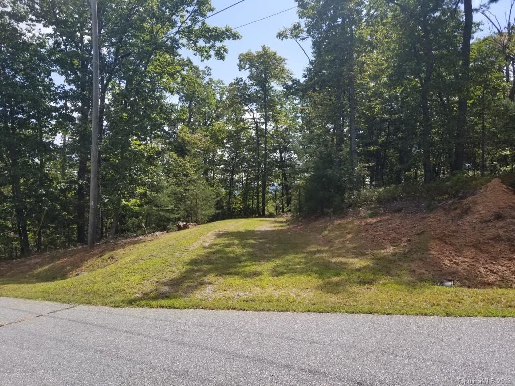 35 Inspiration Ridge Drive Bostic, NC 28018 - Photo 3 of 21