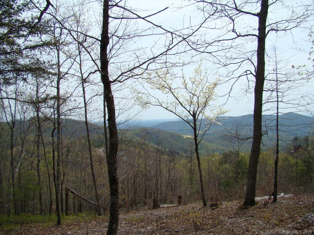 35 Inspiration Ridge Drive Bostic, NC 28018 - Photo 4 of 21