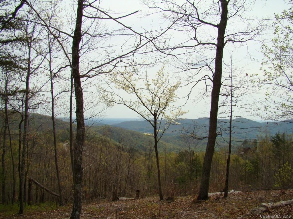 35 Inspiration Ridge Drive Bostic, NC 28018 - Photo 6 of 21