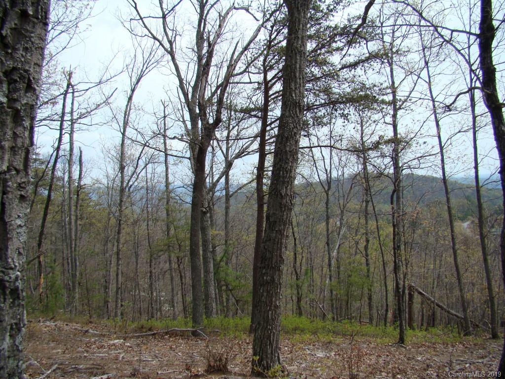35 Inspiration Ridge Drive Bostic, NC 28018 - Photo 8 of 21