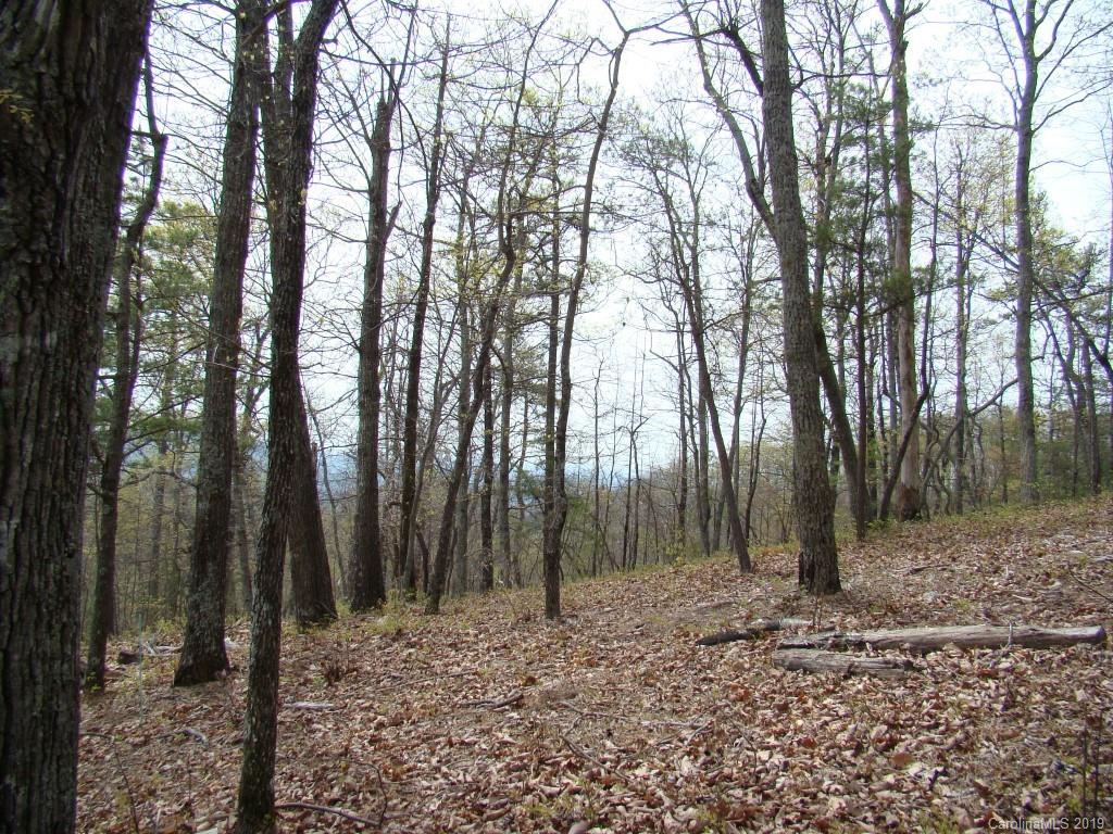 35 Inspiration Ridge Drive Bostic, NC 28018 - Photo 10 of 21