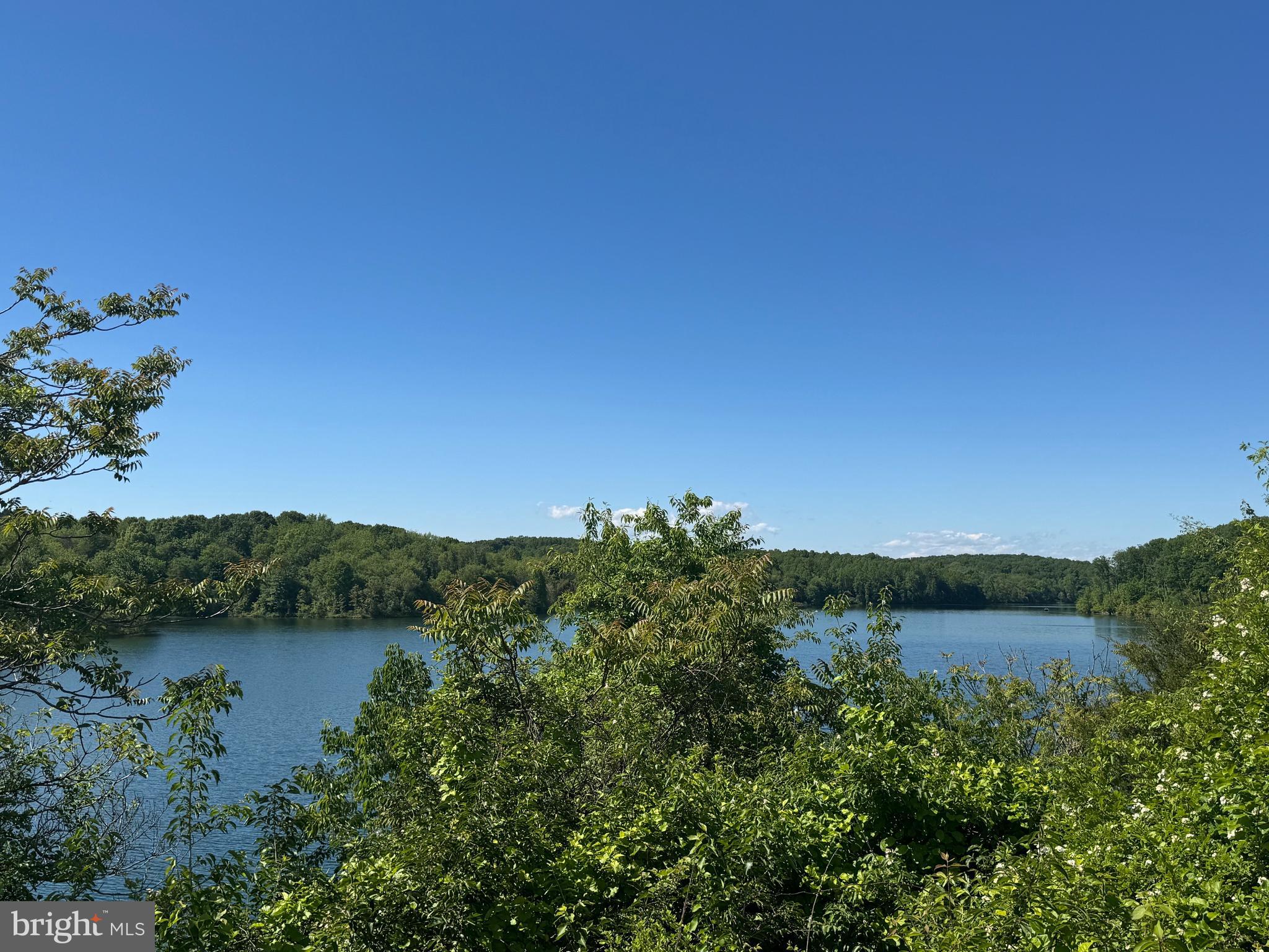a view of a lake with houses in the back