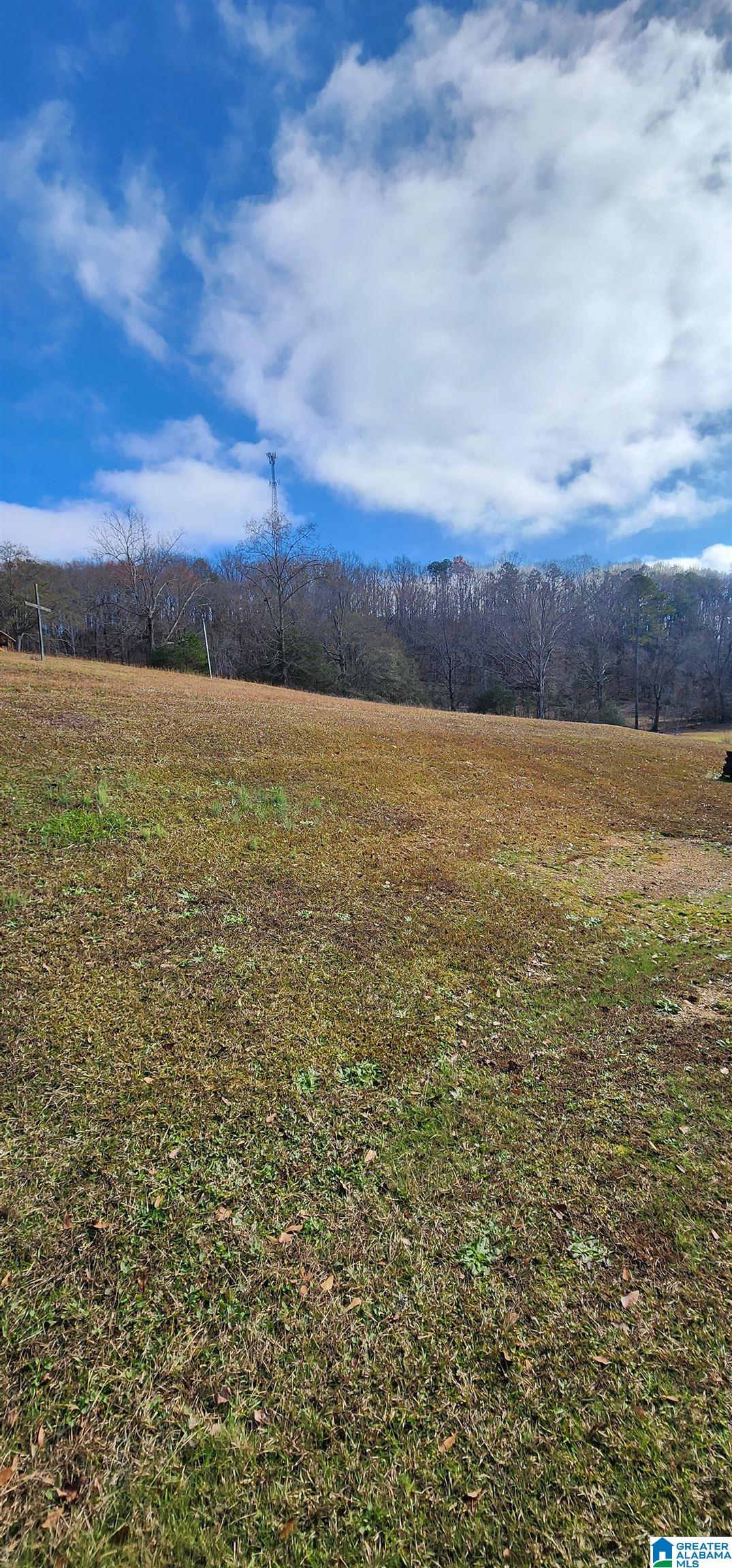352 Kudzu Road Oneonta, AL 35121 - Photo 51 of 57