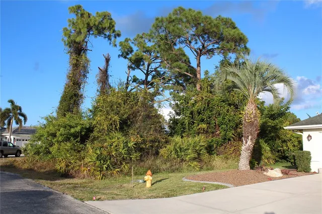 a view of a yard with plants