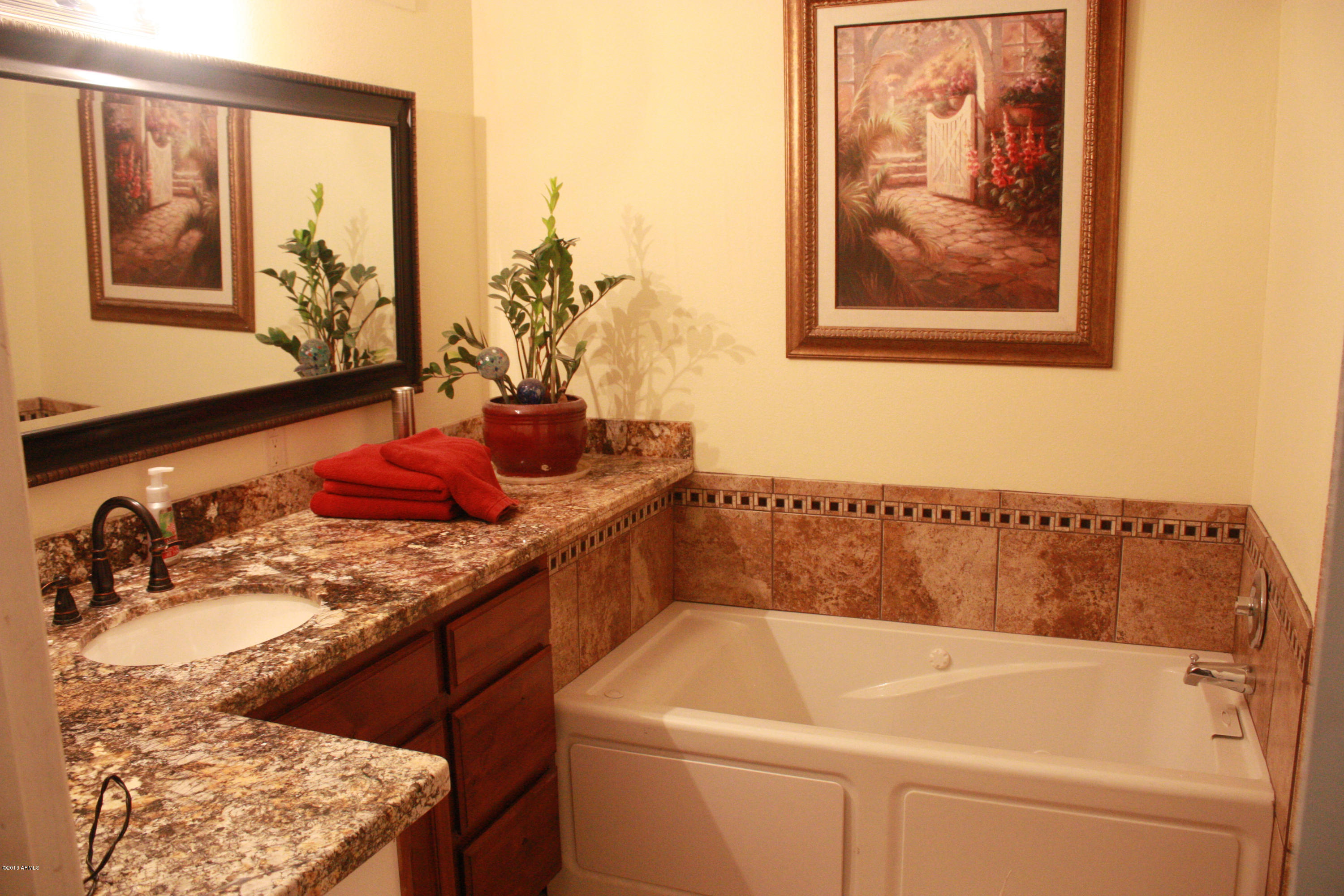 10036 South Greenfield Road Gilbert, AZ 85234 - Photo 5 of 11 Bathroom
