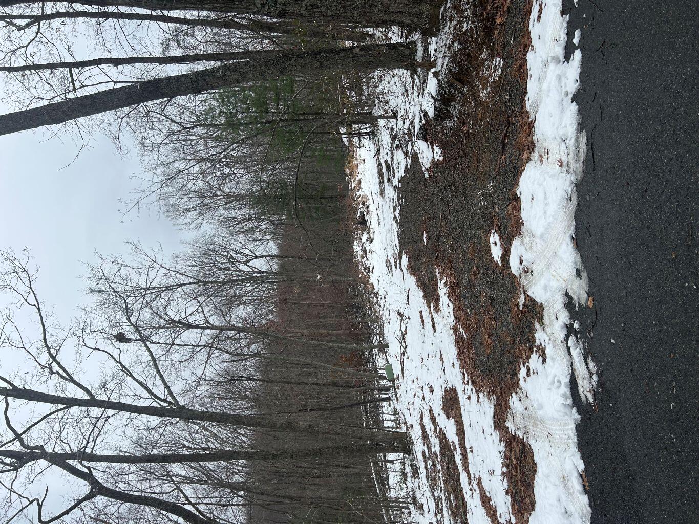 a view of snow on the side of a road