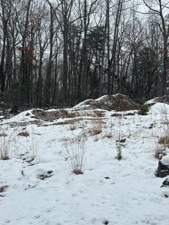 a view of a beach with a snow