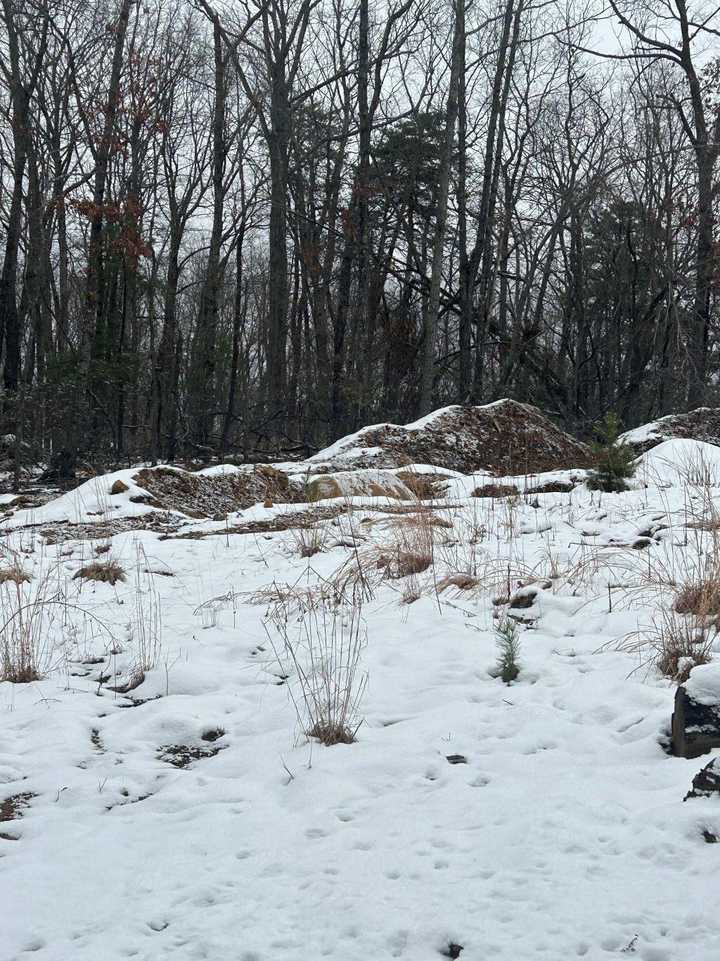 0 Timber Trail Lane Hardy, VA 24101 - Photo 3 of 5 a view of a beach with a snow