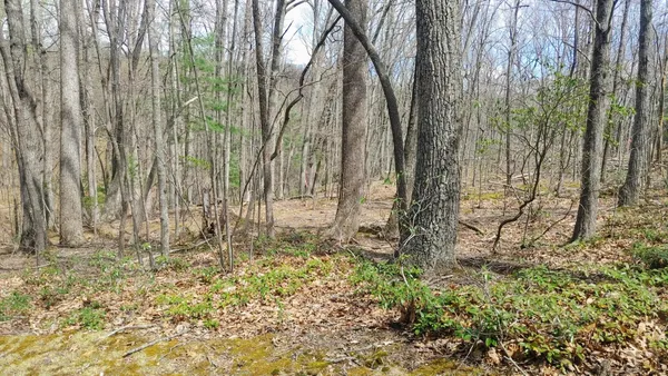 a view of outdoor space with wooden fence