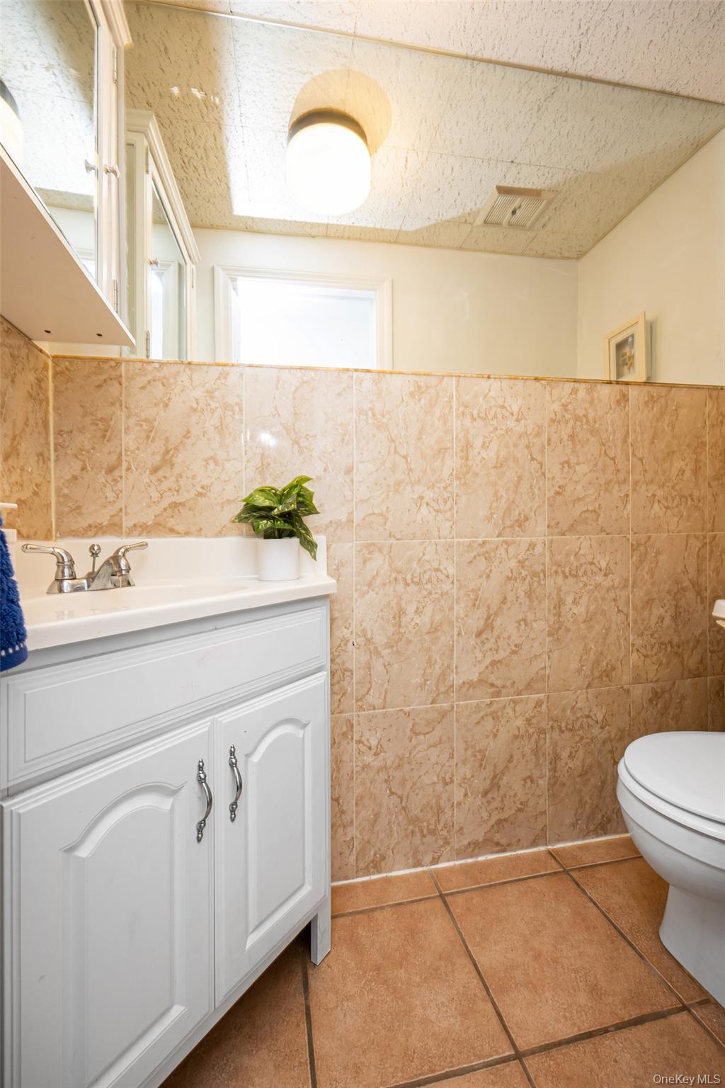 84 Middle Neck Road Roslyn, NY 11576 - Photo 15 of 44 a bathroom with a sink a toilet and a mirror