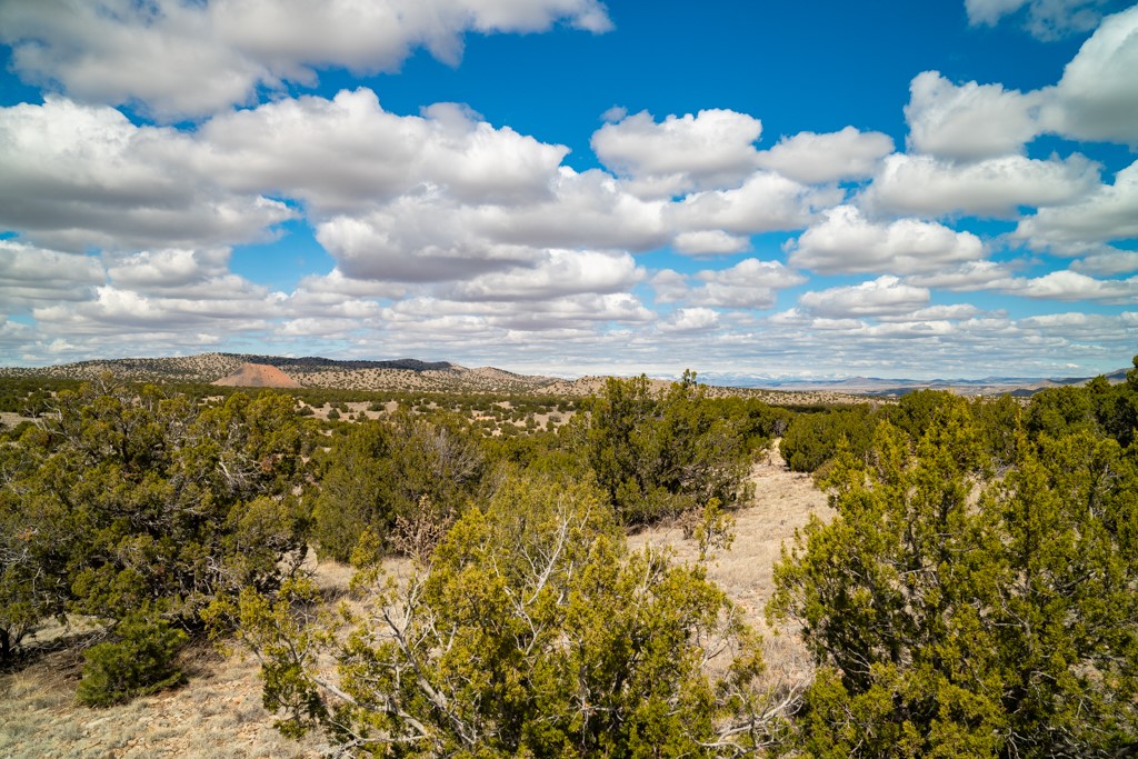 Tbd Hanuman Road Cerrillos, NM 87010 - Photo 20 of 33