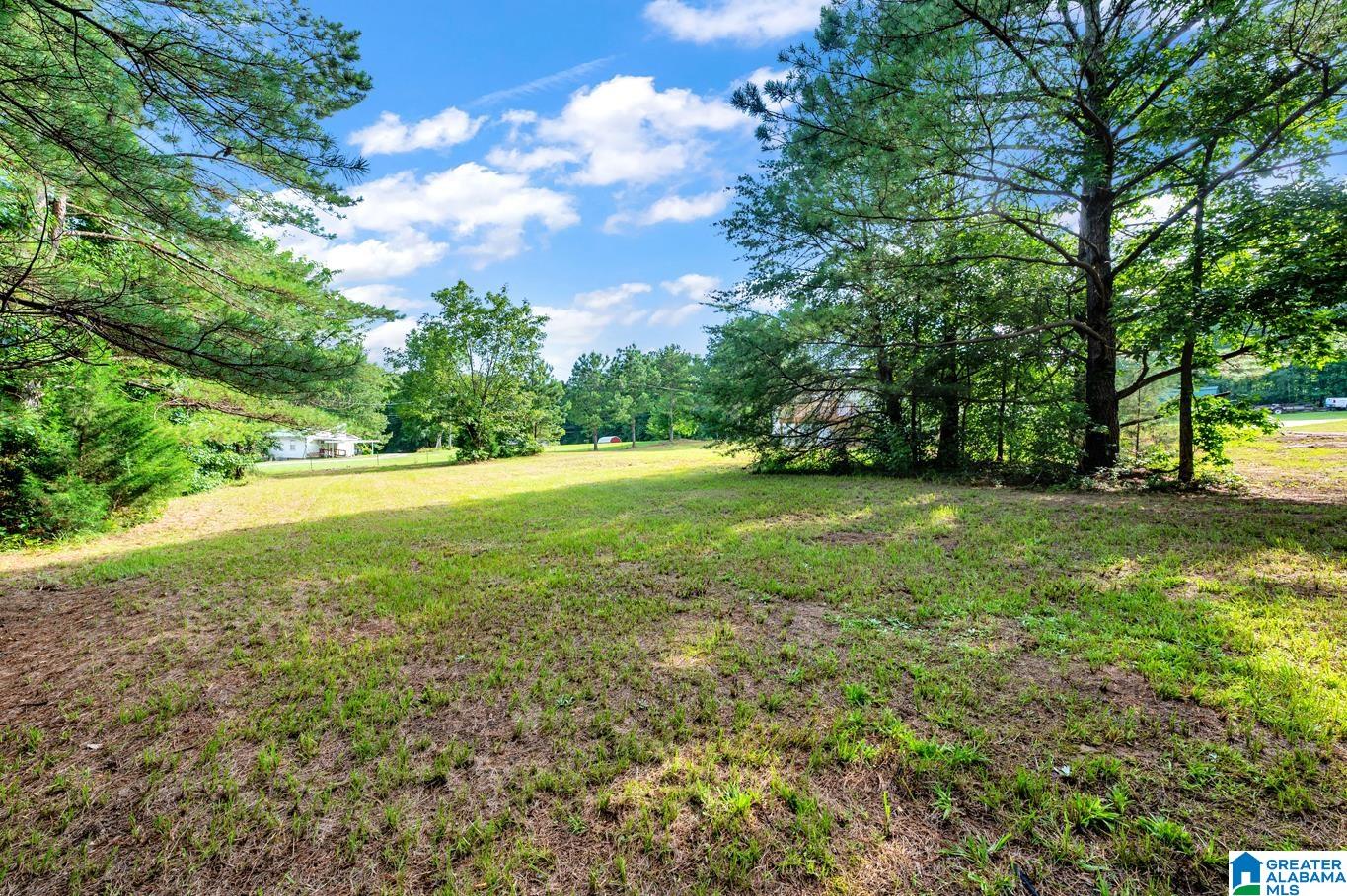 1580 Oren Miller Road Warrior, AL 35180 - Photo 30 of 33 Gallery Image 30