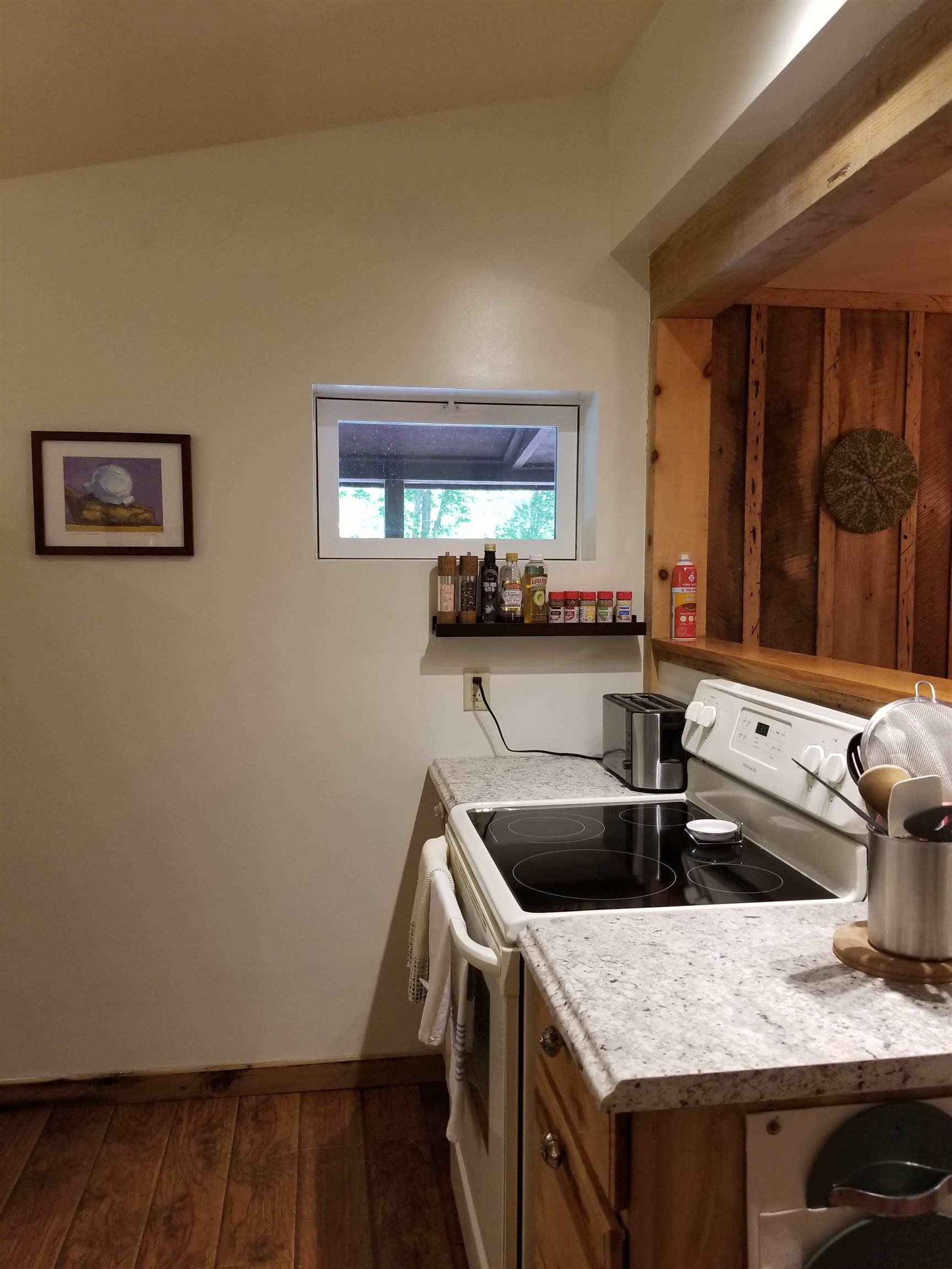 4686 Potomac River Road Monterey, VA 24465 - Photo 12 of 20 Kitchen