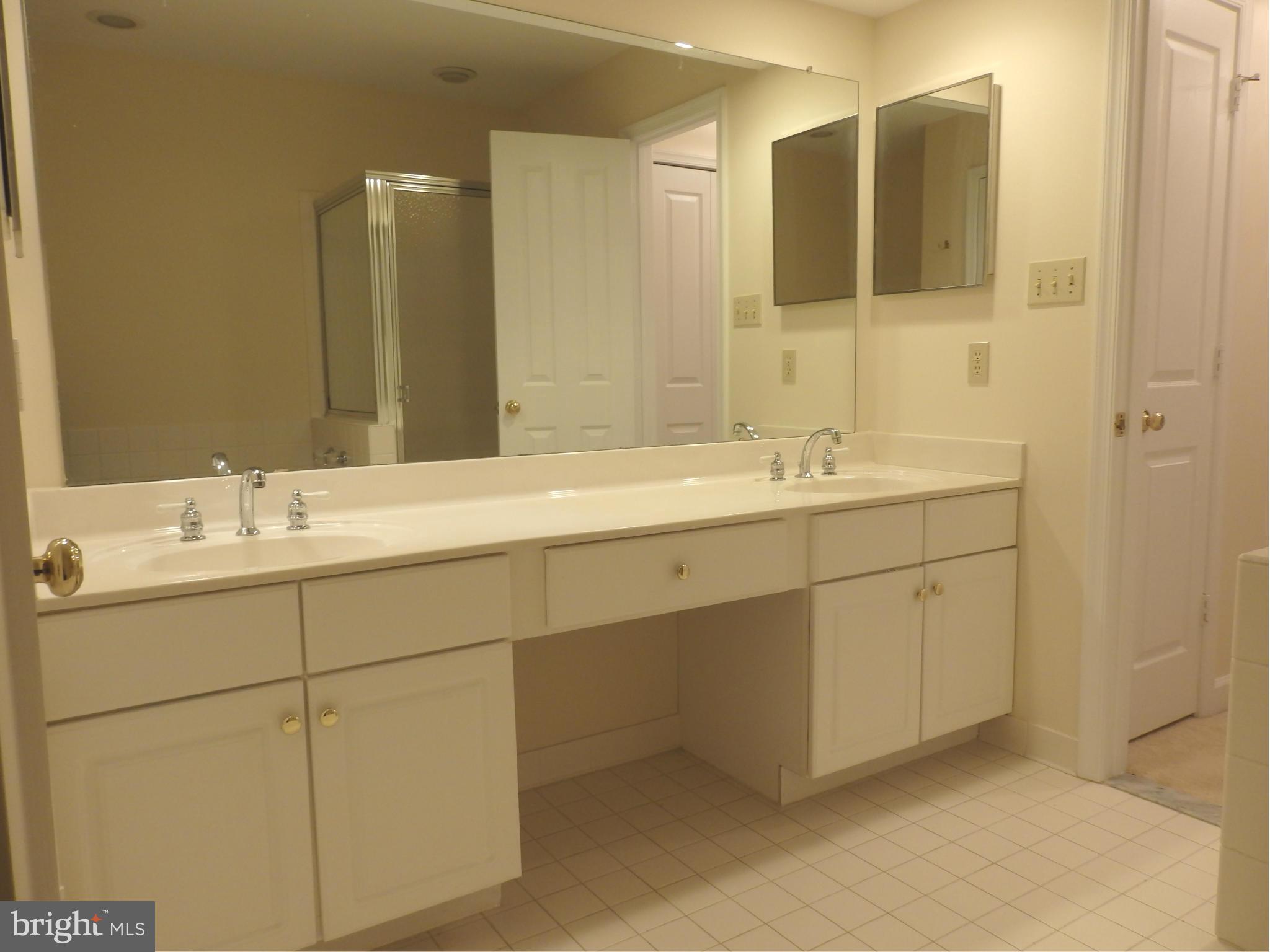 2419 Bear Den Road Frederick, MD 21701 - Photo 14 of 24 Master BA has double sinks and medicine cabinets