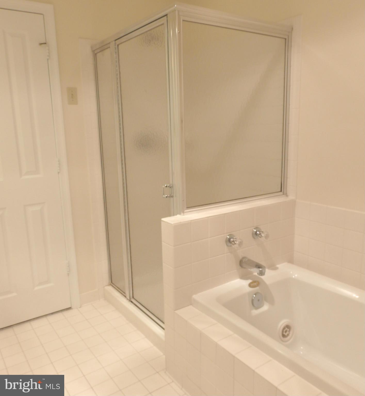 2419 Bear Den Road Frederick, MD 21701 - Photo 15 of 24 Master BA shower and jacuzzi tub