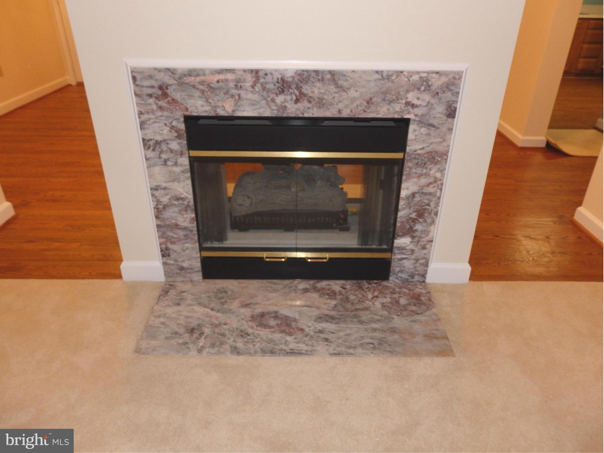 2419 Bear Den Road Frederick, MD 21701 - Photo 8 of 24 2 sided FP has different surrounds in each room