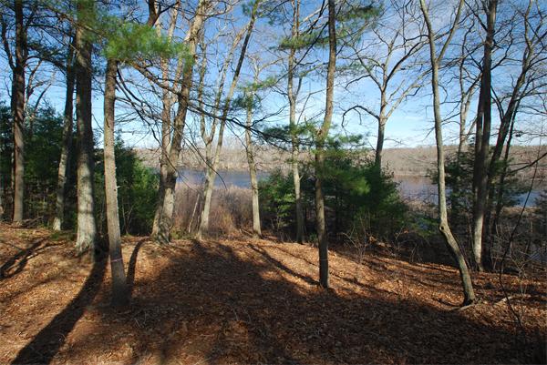 291 River Road Carlisle, MA 01741 - Photo 5 of 5 Gallery Image 5