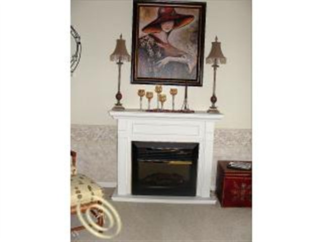 1843 Flagstone Circle Rochester, MI 48307 - Photo 3 of 20 Fireplace