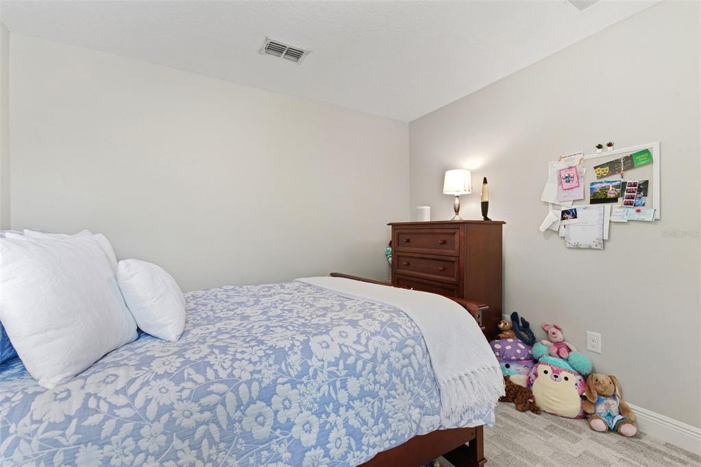 1004 Mango Court Oldsmar, FL 34677 - Photo 25 of 51