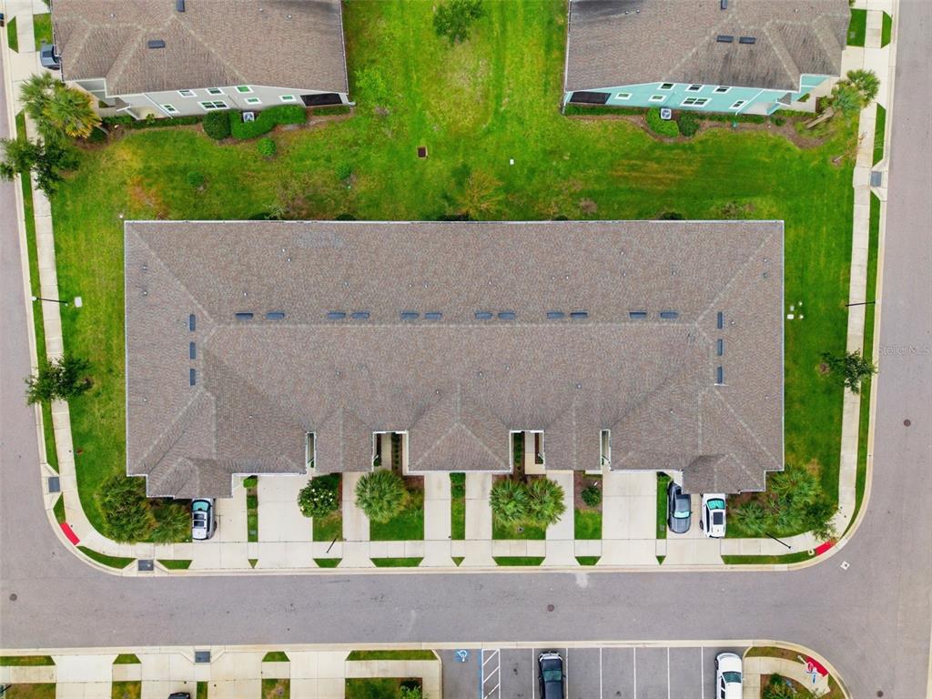 1004 Mango Court Oldsmar, FL 34677 - Photo 43 of 51