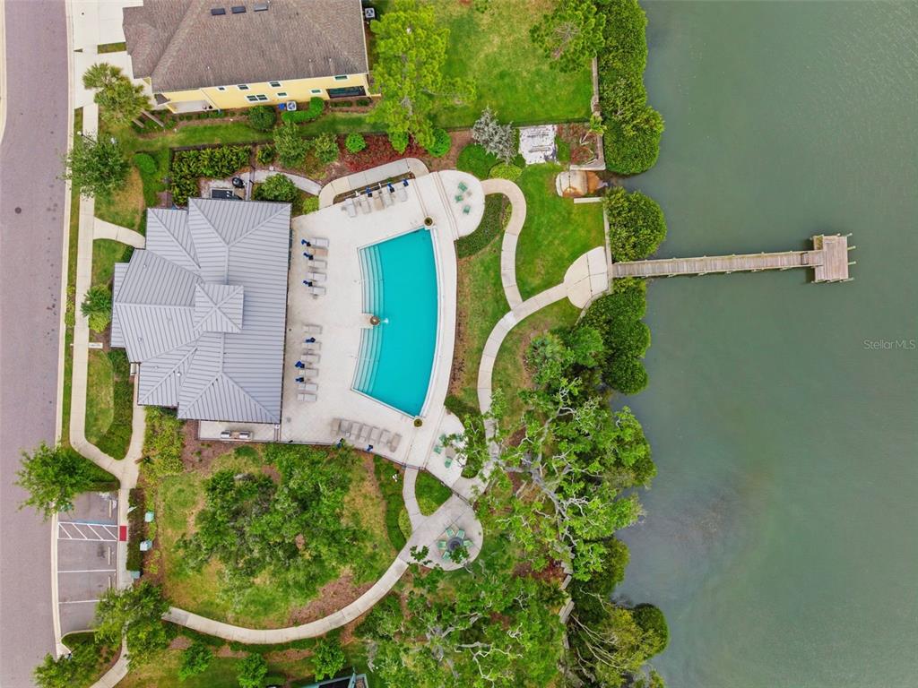 1004 Mango Court Oldsmar, FL 34677 - Photo 44 of 51