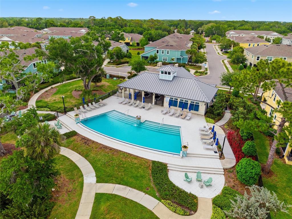 1004 Mango Court Oldsmar, FL 34677 - Photo 45 of 51