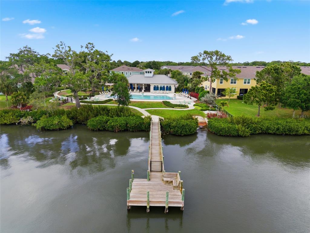 1004 Mango Court Oldsmar, FL 34677 - Photo 46 of 51