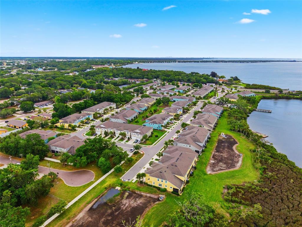 1004 Mango Court Oldsmar, FL 34677 - Photo 50 of 51