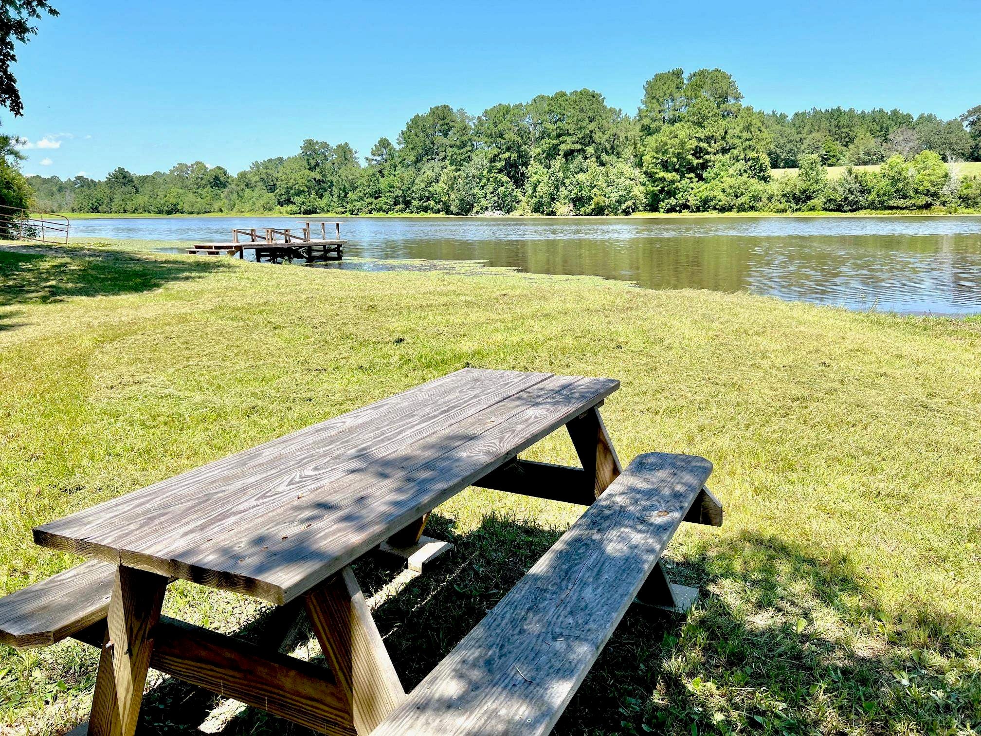 19026 Leon Wiggins Road Andalusia, AL 36420 - Photo 38 of 44 Gallery Image 38