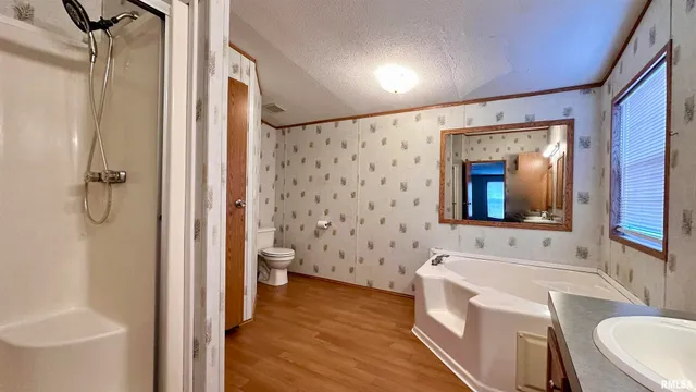 a bathroom with a sink a toilet and shower