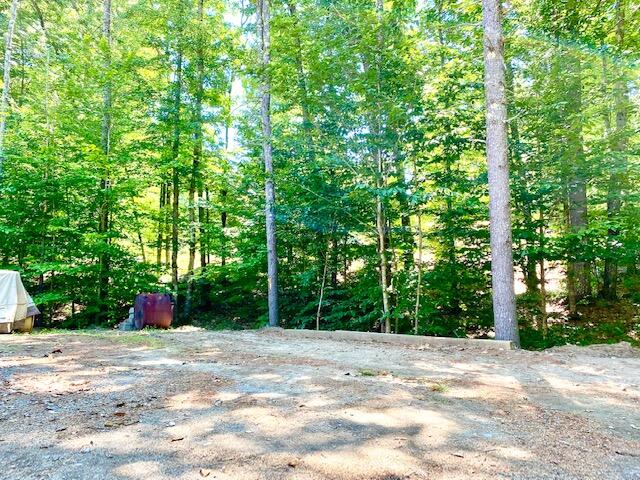 474 New Dam Road Waterboro, ME 04061 - Photo 25 of 38 Back yard