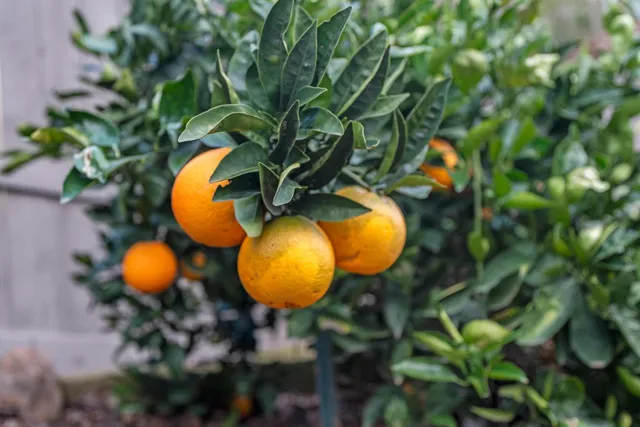 $1,195,000 | 200 Vista Ridge Court, Roseville, CA 95661