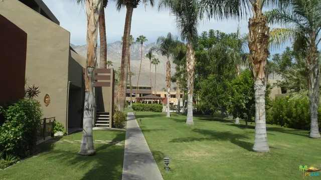 a view of a park with a palm tree