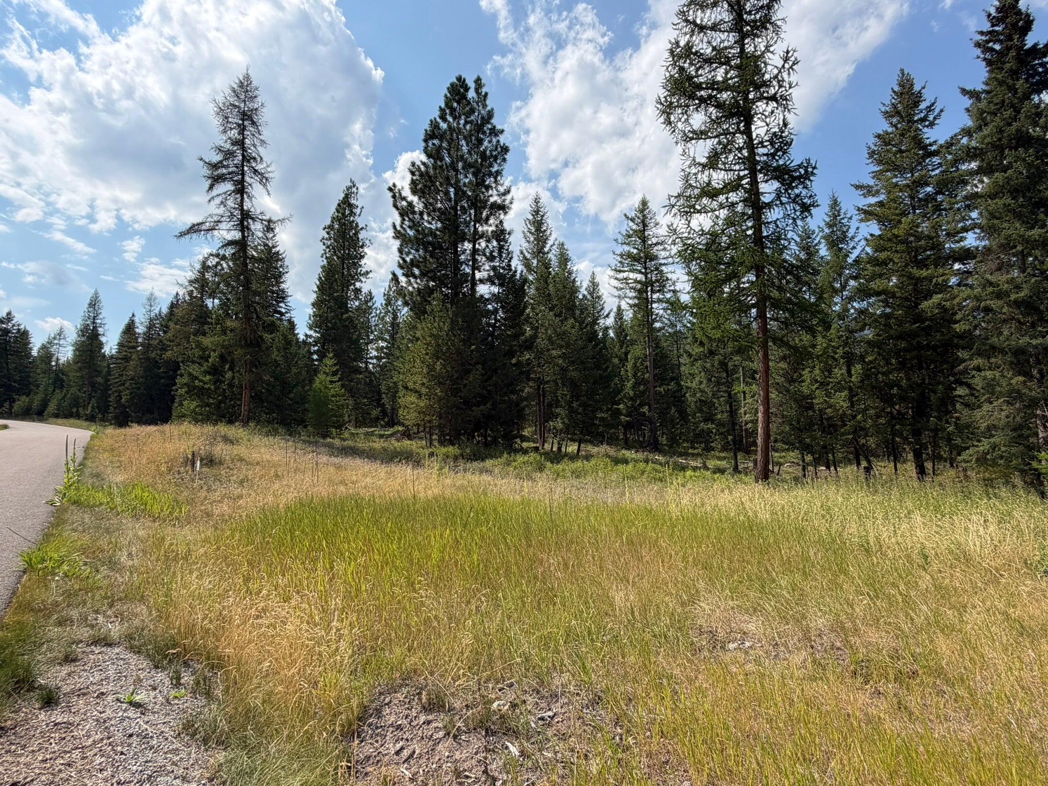517 Haskill Rnch Road Kila, MT 59920 - Photo 5 of 26 Gallery Image 5
