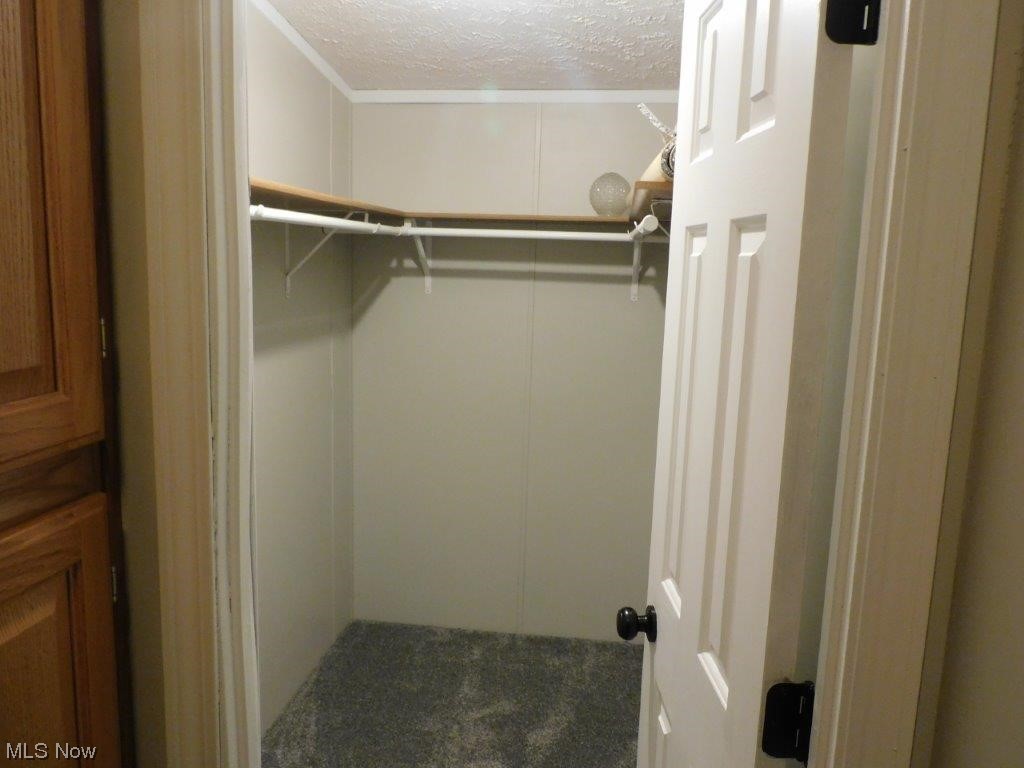 6045 Gore Road Ashtabula, OH 44004 - Photo 20 of 23 Master Bedroom Walk in closet featuring carpet floors